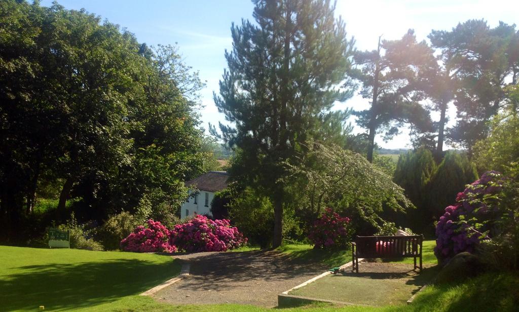 Priskilly Forest Country House Фишгард Стая снимка